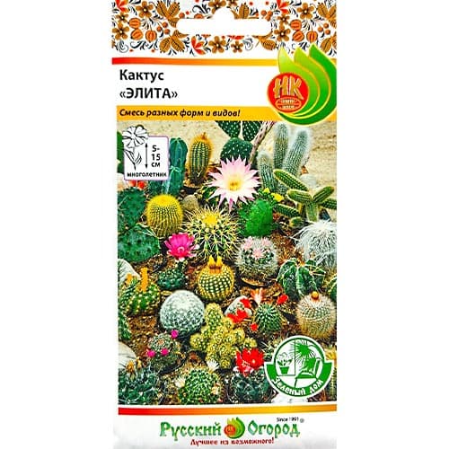 Кактус Элита, смесь окрасок изображение 1 артикул 92516