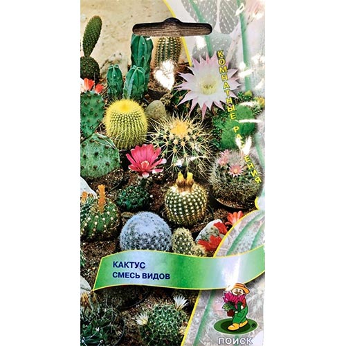 Кактус, смесь окрасок изображение 1 артикул 92986