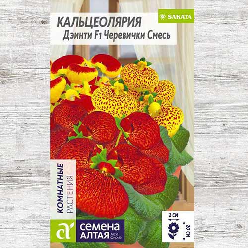 Кальцеолярия Дэинти Черевички F1, смесь окрасок изображение 1 артикул 81673