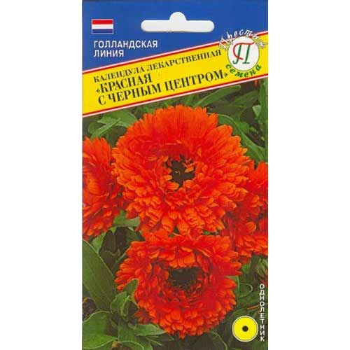 Календула лекарственная Красная с черным центром Престиж изображение 1 артикул 71447