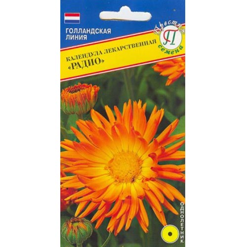 Календула Радио Престиж изображение 1 артикул 84482