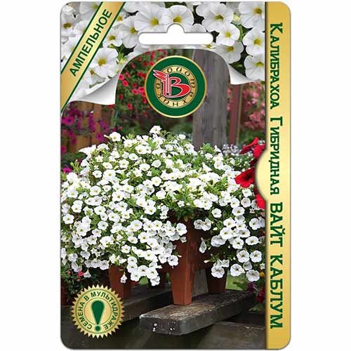 Калибрахоа Вайт Каблум F1 Биотехника изображение 1 артикул 83978