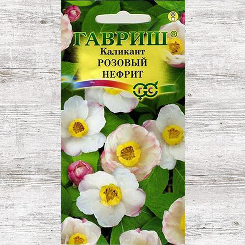 Каликант китайский Розовый нефрит Гавриш артикул фото 1 Каликант китайский Розовый нефрит Гавриш изображение 1 артикул 66076