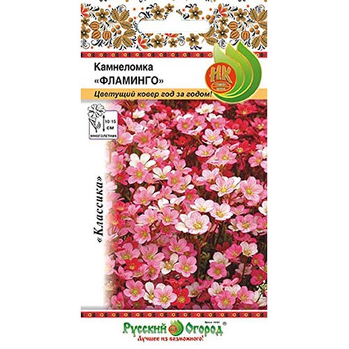 Камнеломка Арендса Фламинго, смесь окрасок изображение 1 артикул 92521