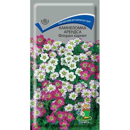 Камнеломка Арендса Флорал карпет, семена изображение 1 артикул 92994