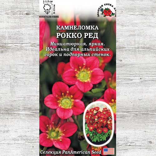 Камнеломка Рокко Ред изображение 1 артикул 83718