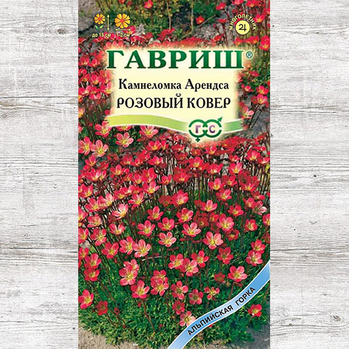Камнеломка Розовый ковер Гавриш изображение 1 артикул 71101