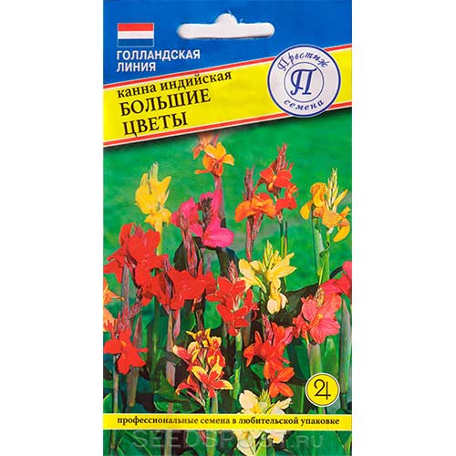 Канна индийская Большие цветы Престиж изображение 1 артикул 73652