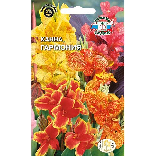 Канна индийская Гармония, смесь окрасок изображение 1 артикул 93805