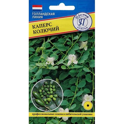 Каперс колючий Престиж изображение 1 артикул 81347