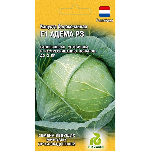 Капуста белокочанная Адема РЗ F1, семена артикул фото 1 Капуста белокочанная Адема РЗ F1, семена изображение 1 артикул 91687
