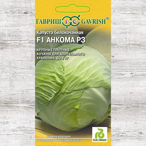 Капуста белокочанная Анкома РЗ F1 Гавриш артикул фото 1 Капуста белокочанная Анкома РЗ F1 Гавриш изображение 1 артикул 73961