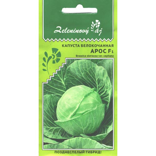 Капуста белокочанная Арос F1, семена артикул фото 1 Капуста белокочанная Арос F1, семена изображение 1 артикул 94514