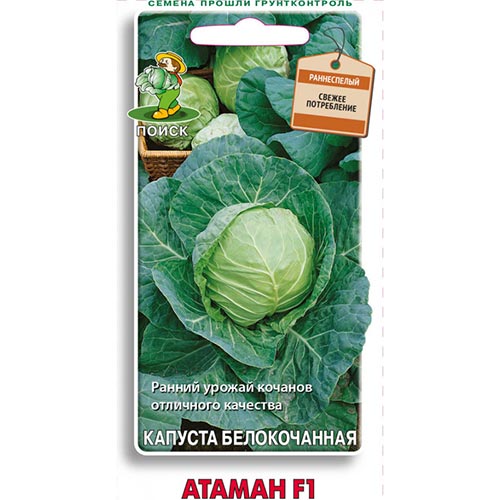 Капуста белокочанная Атаман F1, семена артикул фото 1 Капуста белокочанная Атаман F1, семена изображение 1 артикул 92734