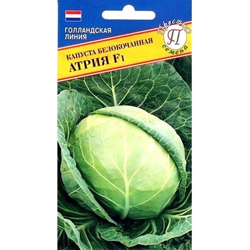 Капуста белокочанная Атрия F1 Престиж артикул фото 1 Капуста белокочанная Атрия F1 Престиж изображение 1 артикул 84168
