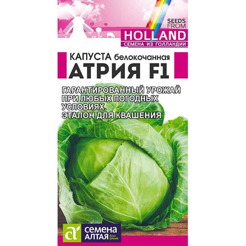 Капуста белокочанная Атрия F1 Семена Алтая изображение 1 артикул 81480