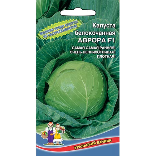 Капуста белокочанная Аврора F1, семена артикул фото 1 Капуста белокочанная Аврора F1, семена изображение 1 артикул 94513