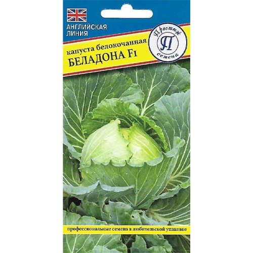 Капуста белокочанная Беладонна F1 Престиж изображение 1 артикул 97919