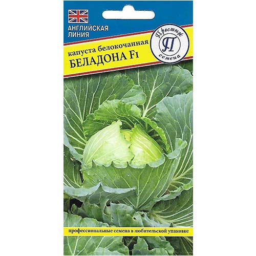 Капуста белокочанная Беладонна F1 изображение 1 артикул 73574