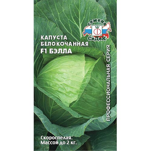 Капуста белокочанная Бэлла F1, семена артикул фото 1 Капуста белокочанная Бэлла F1, семена изображение 1 артикул 93339