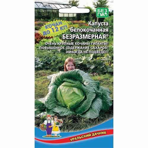 Капуста белокочанная Безразмерная Уральский дачник изображение 1 артикул 74165