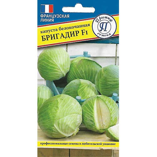 Капуста белокочанная Бригадир F1 Престиж изображение 1 артикул 84169