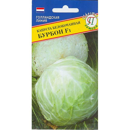 Капуста белокочанная Бурбон F1 Престиж изображение 1 артикул 84171
