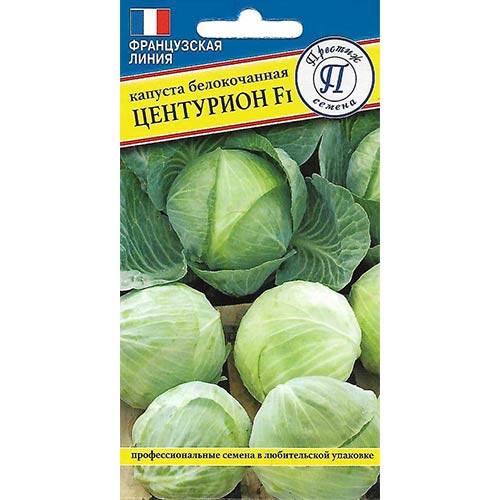 Капуста белокочанная Центурион F1 Престиж изображение 1 артикул 81131