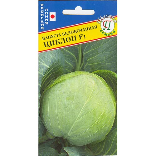 Капуста белокочанная Циклоп F1 Престиж изображение 1 артикул 84188