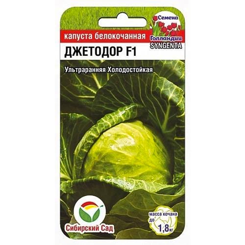 Капуста белокочанная Джетодор F1, семена артикул фото 1 Капуста белокочанная Джетодор F1, семена изображение 1 артикул 94905