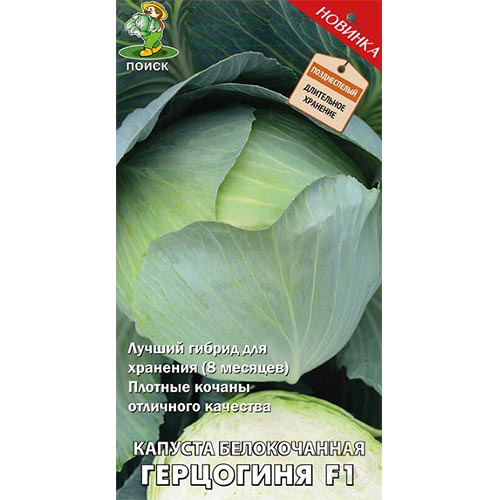 Капуста белокочанная Герцогиня F1 Поиск изображение 1 артикул 81872