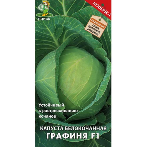 Капуста белокочанная Графиня F1 Поиск изображение 1 артикул 81873