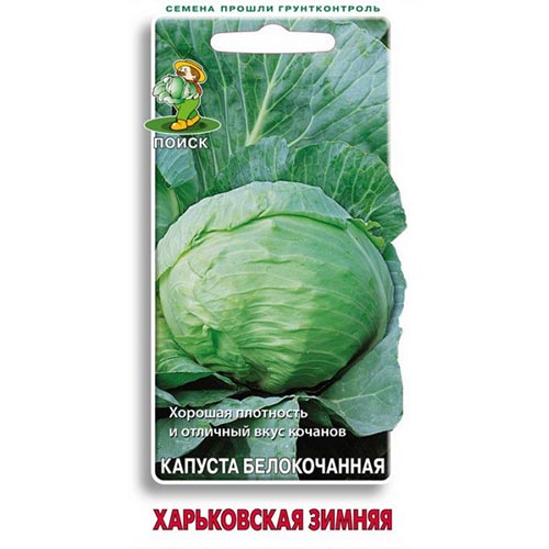 Капуста белокочанная Харьковская зимняя Поиск изображение 1 артикул 81877