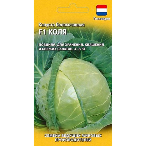 Капуста белокочанная Коля F1, семена артикул фото 1 Капуста белокочанная Коля F1, семена изображение 1 артикул 91691