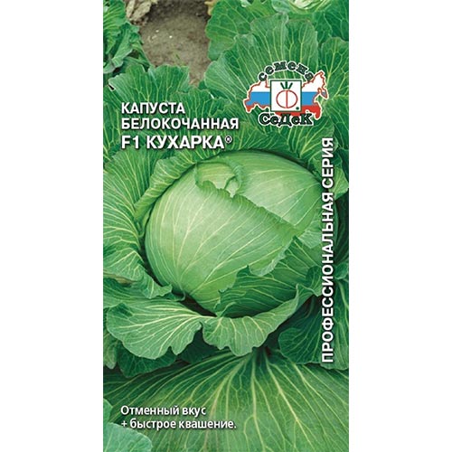 Капуста белокочанная Кухарка F1, семена изображение 1 артикул 93346