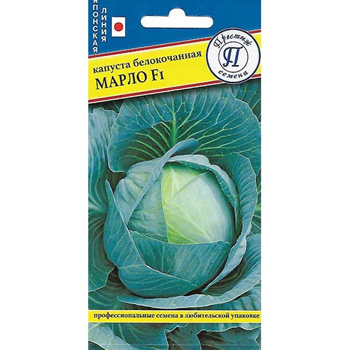 Капуста белокочанная Марло F1 Престиж артикул фото 1 Капуста белокочанная Марло F1 Престиж изображение 1 артикул 81126