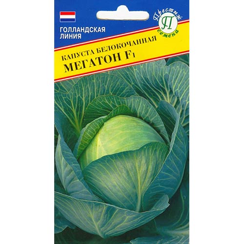 Капуста белокочанная Мегатон F1 Престиж изображение 1 артикул 84182