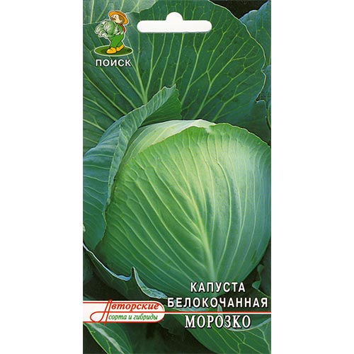 Капуста белокочанная Морозко Поиск изображение 1 артикул 81875
