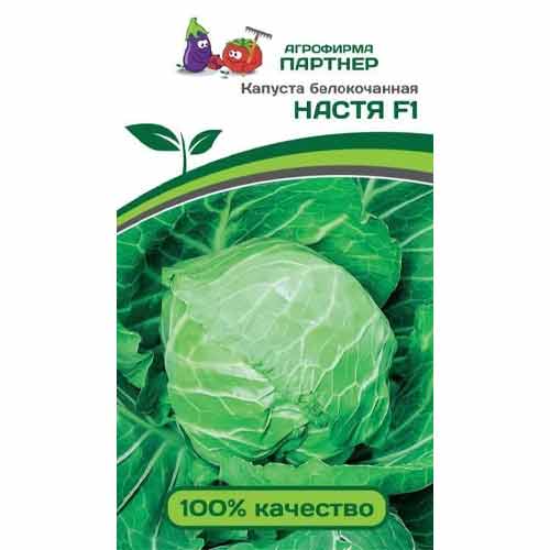 Капуста белокочанная Настя F1 Партнер артикул фото 1 Капуста белокочанная Настя F1 Партнер изображение 1 артикул 81014
