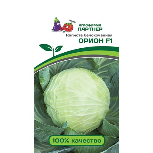 Капуста белокочанная Орион F1 Партнер артикул фото 1 Капуста белокочанная Орион F1 Партнер изображение 1 артикул 73443