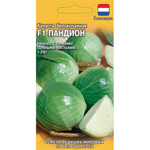 Капуста белокочанная Пандион F1, семена артикул фото 1 Капуста белокочанная Пандион F1, семена изображение 1 артикул 91692