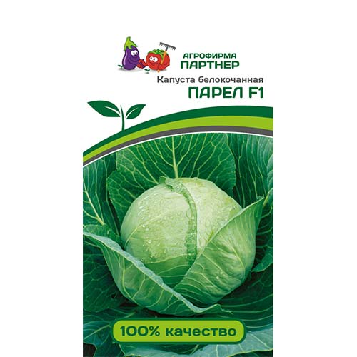 Капуста белокочанная Парел F1 Партнер изображение 1 артикул 84838