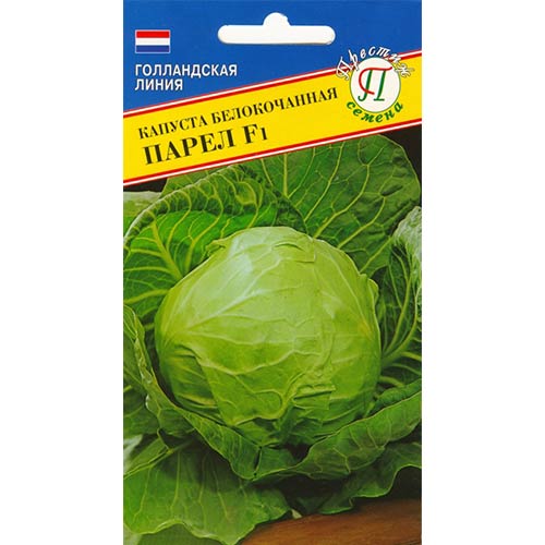 Капуста белокочанная Парел F1 Престиж изображение 1 артикул 84184