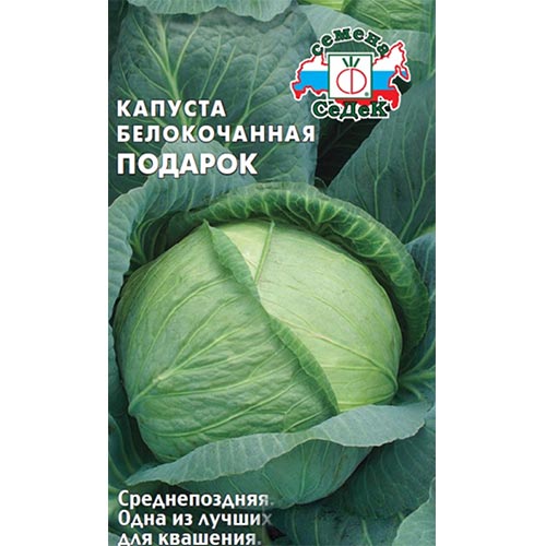 Капуста белокочанная Подарок, семена артикул фото 1 Капуста белокочанная Подарок, семена изображение 1 артикул 93351