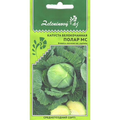 Капуста белокочанная Полар МС, семена артикул фото 1 Капуста белокочанная Полар МС, семена изображение 1 артикул 94516