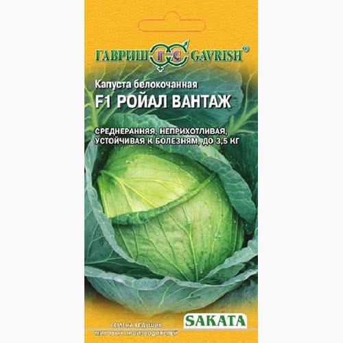 Капуста белокочанная Ройал Вантаж F1 Гавриш изображение 1 артикул 97428