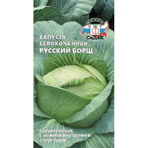 Капуста белокочанная Русский борщ, семена изображение 1 артикул 93355