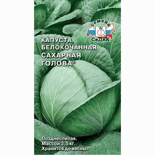 Капуста белокочанная Сахарная голова Седек артикул фото 1 Капуста белокочанная Сахарная голова Седек изображение 1 артикул 93356
