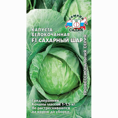 Капуста белокочанная Сахарный шар F1 Седек артикул фото 1 Капуста белокочанная Сахарный шар F1 Седек изображение 1 артикул 93357