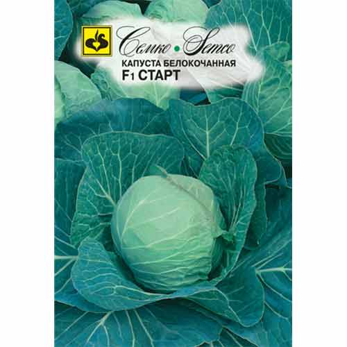 Капуста белокочанная Старт F1 Семко артикул фото 1 Капуста белокочанная Старт F1 Семко изображение 1 артикул 71917